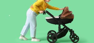 baby stroller manager (2)